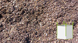Epicea Schors 10-20 mm - BIGBAG_